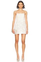 Sophia Lace Mini Dress